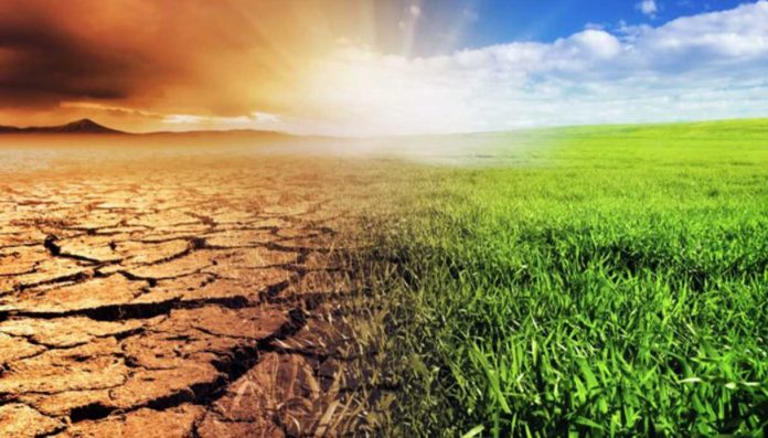 Se l’Anci vuole affossare il Piano di ripristino della natura