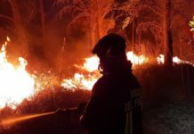Incendi: in Italia +133% rispetto alla media degli ultimi 20 anni