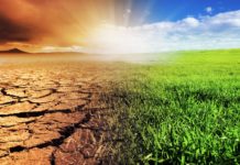 Se l’Anci vuole affossare il Piano di ripristino della natura