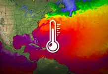 Clima, temperatura media del mare più alta mai registrata