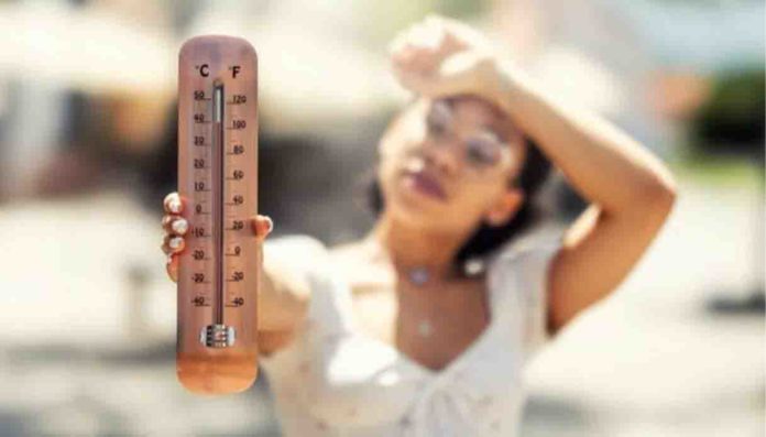 Caldo estremo, una petizione per posticipare l’apertura delle scuole Caldo estremo, una petizione per posticipare l’apertura delle scuole