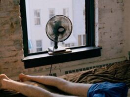 Caldo, record di consumi elettrici ad agosto: +16,5%, dato più alto di sempre Caldo, record di consumi elettrici ad agosto: +16,5%, dato più alto di sempre
