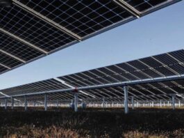 Fotovoltaico, a Vicenza al via Ssec – Storage & Solar Expo Conference Fotovoltaico, a Vicenza al via Ssec – Storage & Solar Expo Conference