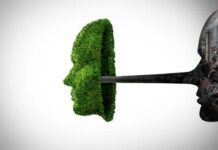 Greenwashing, nuove Faq Ue sulle dichiarazioni ambientali Greenwashing, nuove Faq Ue sulle dichiarazioni ambientali