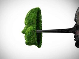 Greenwashing, nuove Faq Ue sulle dichiarazioni ambientali Greenwashing, nuove Faq Ue sulle dichiarazioni ambientali