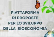 Bioeconomia e rinnovabili, le proposte per ridurre la dipendenza dai fossili Bioeconomia rinnovabili dipendenza fossili