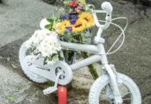 Morte Nicolò a Torino, associazioni: “Riflettere su sicurezza stradale in ogni scuola” Morte Nicolò a Torino, associazioni: “Riflettere su sicurezza stradale in ogni scuola”