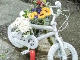 Morte Nicolò a Torino, associazioni: “Riflettere su sicurezza stradale in ogni scuola” Morte Nicolò a Torino, associazioni: “Riflettere su sicurezza stradale in ogni scuola”