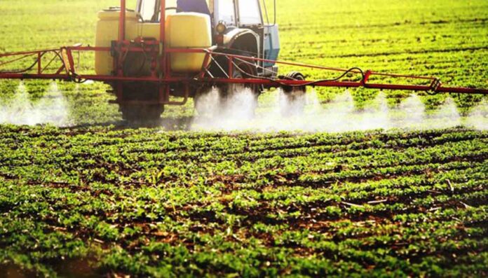 Pesticidi Ue, allarme Isde- “La salute prima della semplificazione” Pesticidi Ue, allarme Isde: “La salute prima della semplificazione”