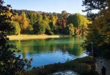 Piano Italiano di Ripristino della natura, associazioni deluse e preoccupate Piano Italiano di Ripristino della natura, associazioni deluse e preoccupate