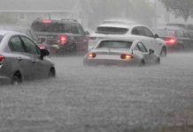 Rischio climatico, Wwf: “Cresce il costo dei disastri. Serve investire nella natura” Rischio climatico Wwf Cresce costo disastri