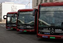 Roma, bus a basse emissioni oltre il 50%: il dato Istat Roma, bus a basse emissioni oltre il 50%: il dato Istat