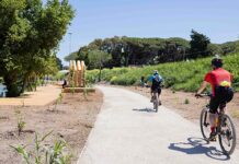 “Roma corre in bici”: incentivi anche per i dipendenti di Roma Capitale “Roma corre in bici”: incentivi anche per i dipendenti di Roma Capitale
