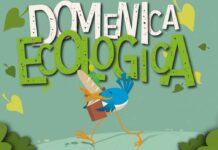 Roma, domeniche ecologiche: cinque giornate di stop al traffico nel 2026-2027 Roma, domeniche ecologiche: cinque giornate di stop al traffico nel 2026-2027