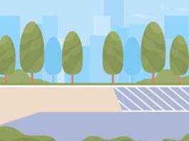 Roma, presentato nuovo Piano del verde: 20mila nuovi alberi entro aprile ’27 Roma, presentato nuovo Piano del verde: 20mila nuovi alberi entro aprile ’27