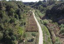 Wwf festeggia i dieci anni di Urban Nature, le iniziative a Roma Urban Nature