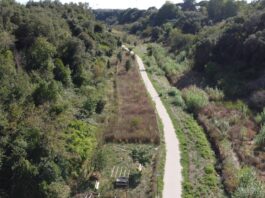Wwf festeggia i dieci anni di Urban Nature, le iniziative a Roma Urban Nature
