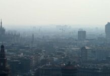 Wwf: per migliorare qualità dell’aria serve aumentare natura in città Wwf: per migliorare qualità dell’aria serve aumentare natura in città