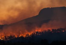 Verso il picco climatico a 1,8°C: “Conteniamo e torniamo sotto soglia” picco climatico