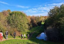 Cammina Foreste Urbane 2026, dal 23 ottobre torna la campagna per il verde urbano Cammina Foreste Urbane 2026, dal 23 ottobre torna la campagna per il verde urbano