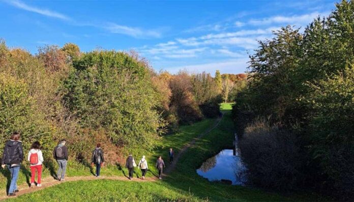 Cammina Foreste Urbane 2026, dal 23 ottobre torna la campagna per il verde urbano Cammina Foreste Urbane 2026, dal 23 ottobre torna la campagna per il verde urbano