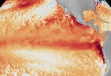 El Niño si rafforza: caldo sopra la media, rischio siccità e inondazioni in tutto il mondo El Niño si rafforza: caldo sopra la media, rischio siccità e inondazioni in tutto il mondo