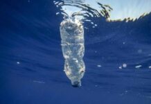 Plastic Tax, legge di Bilancio conferma il nono rinvio Plastic Tax, legge di Bilancio conferma il nono rinvio