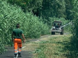 Roma, accordo tra Comune, Ama ed Evera per il decoro delle aree pubbliche Roma, accordo tra Comune, Ama ed Evera per il decoro delle aree pubbliche