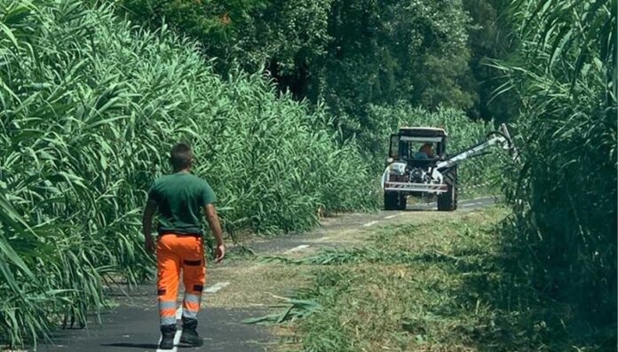 Roma, accordo tra Comune, Ama ed Evera per il decoro delle aree pubbliche Roma, accordo tra Comune, Ama ed Evera per il decoro delle aree pubbliche