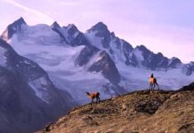 Valle d’Aosta, estate 2026 la più calda di sempre Valle d’Aosta, estate 2026 la più calda di sempre