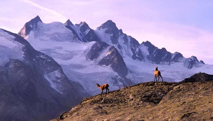 Valle d’Aosta, estate 2026 da record- Dora Baltea al 50% della portata Valle d’Aosta, estate 2026 la più calda di sempre