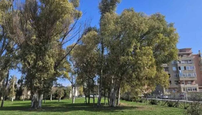 Verde urbano, RiforestAzione conclude a Milano il tour nelle città italiane