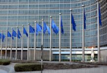Consiglio ministri Ambiente Ue 12 ottobre, le richieste di Wwf ministri Ambiente Ue Wwf