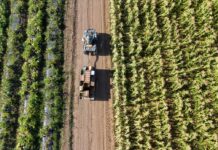 Emergenza climatica e agricoltura, Cia protesta contro tagli alla Pac agricoltura