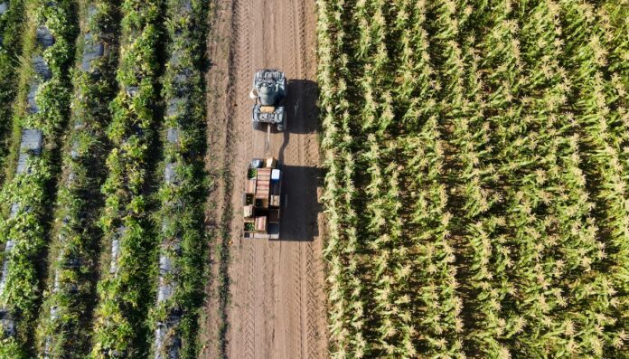 agricoltura