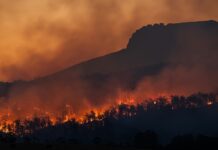 Clima, sondaggio Ipsos conferma preoccupazione e impegno sondaggio clima